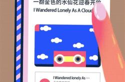 中国翻译官张京翻译视频
