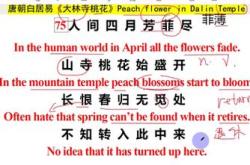 风花雪月的英文名