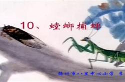 螳螂捕蛇翻译文言文