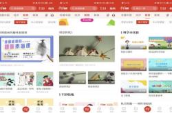 编程猫和乐博哪个好
