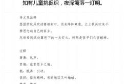 犬马声色的翻译英文