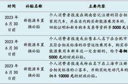 购买新能源汽车补贴政策2020