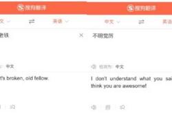 东北话方言句子翻译