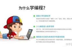 自学编程要多久