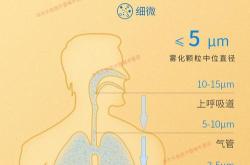 可视喉镜下喉镜片