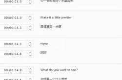 声音直接翻译字幕可以吗