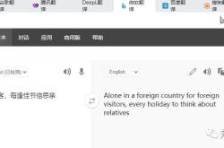 全网最火的翻译官