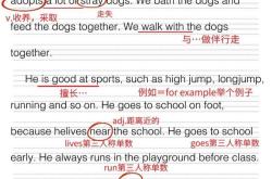 小学英文翻译