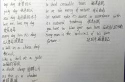 鉴定人员翻译人员回避由谁决定