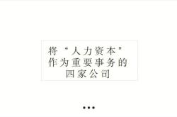 资本英译