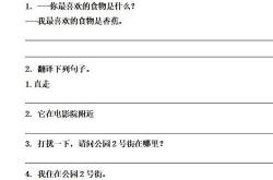 如何训练翻译能力