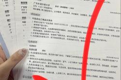 工作描述简短范文
