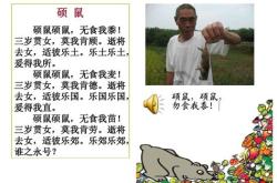 三岁贯汝