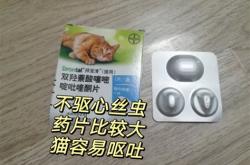 柯基驱虫药推荐