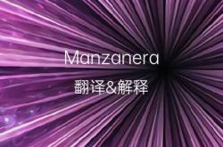 气晕英文翻译怎么说
