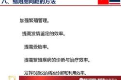 工程翻译