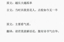 翻译成古文怎么说