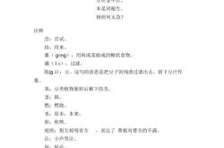 七步诗原文带拼音翻译