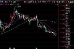 股市里科技股开头的代码是多少