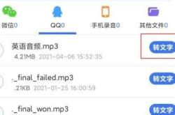 来源翻译英文