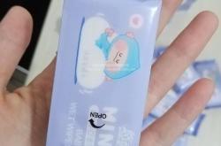风力发电机项目简介