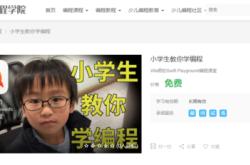 小学生适合学编程吗