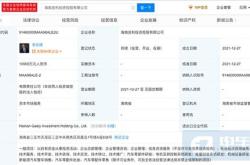 新能源指标会增加吗