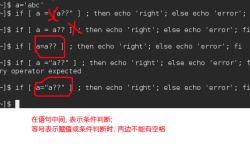 编程中一个等号