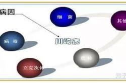 病因病机英文翻译