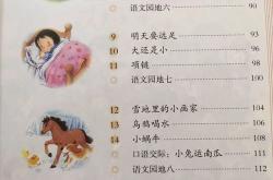 编程体验课视频