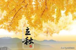 立秋雨院中有作的意思