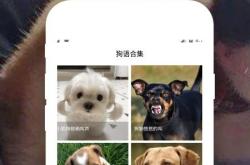 狗语翻译器在线翻译