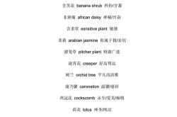 别名英语怎么写