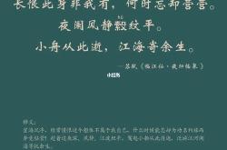 《临江仙夜归临皋》