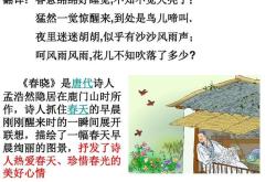 春晓诗词翻译
