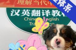和平用英文