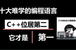 开发程序学什么语言