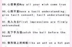 成语英文翻译词典