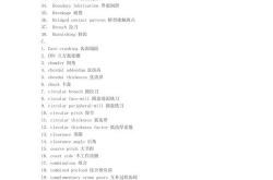 使用什么工艺翻译英文