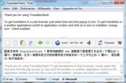 翻译工作是什么