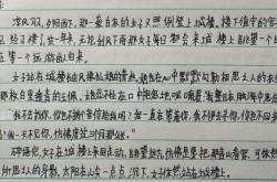 子衿文及翻译