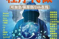 帮别人写代码