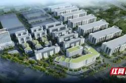 电子科技产业园：推动电子科技产业发展的核心平台