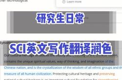 关于我的搭档翻译英文