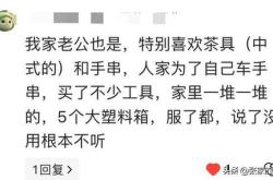 是焉得为大丈夫呼翻译