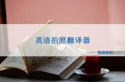 翻译的价格收费标准