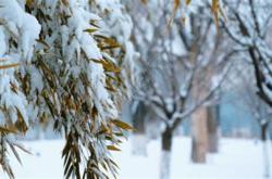 等雪停了翻译成英语