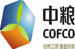中粮科技是什么股