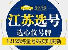 新能源车能自选号牌吗