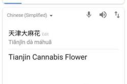 英语翻译Google